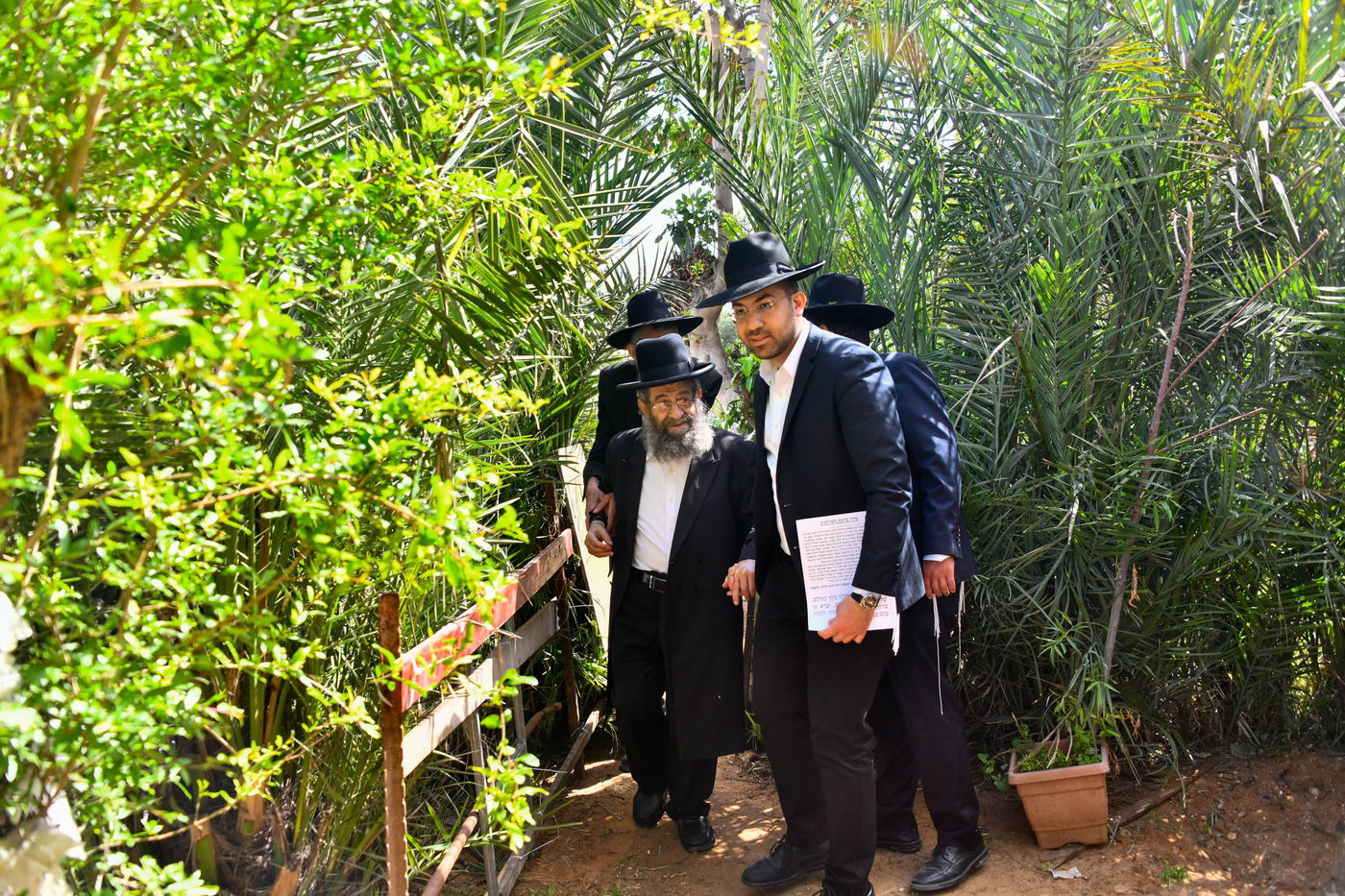הגאון רבי מסעוד בן שמעון בברכת האילנות