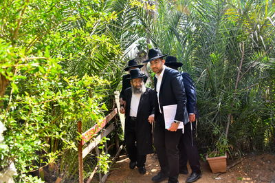 הגאון רבי מסעוד בן שמעון בברכת האילנות