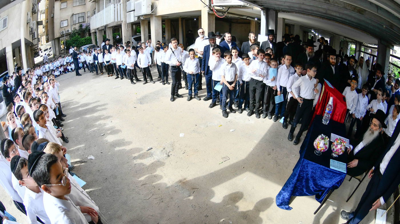 הגר"ש שטיינמן בברכת האילנות