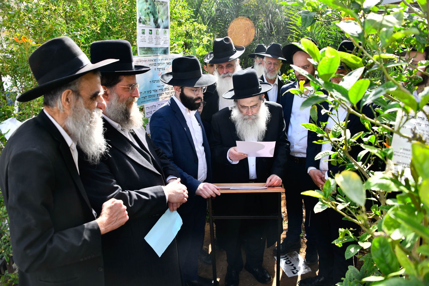 הגר"ש שטיינמן בברכת האילנות