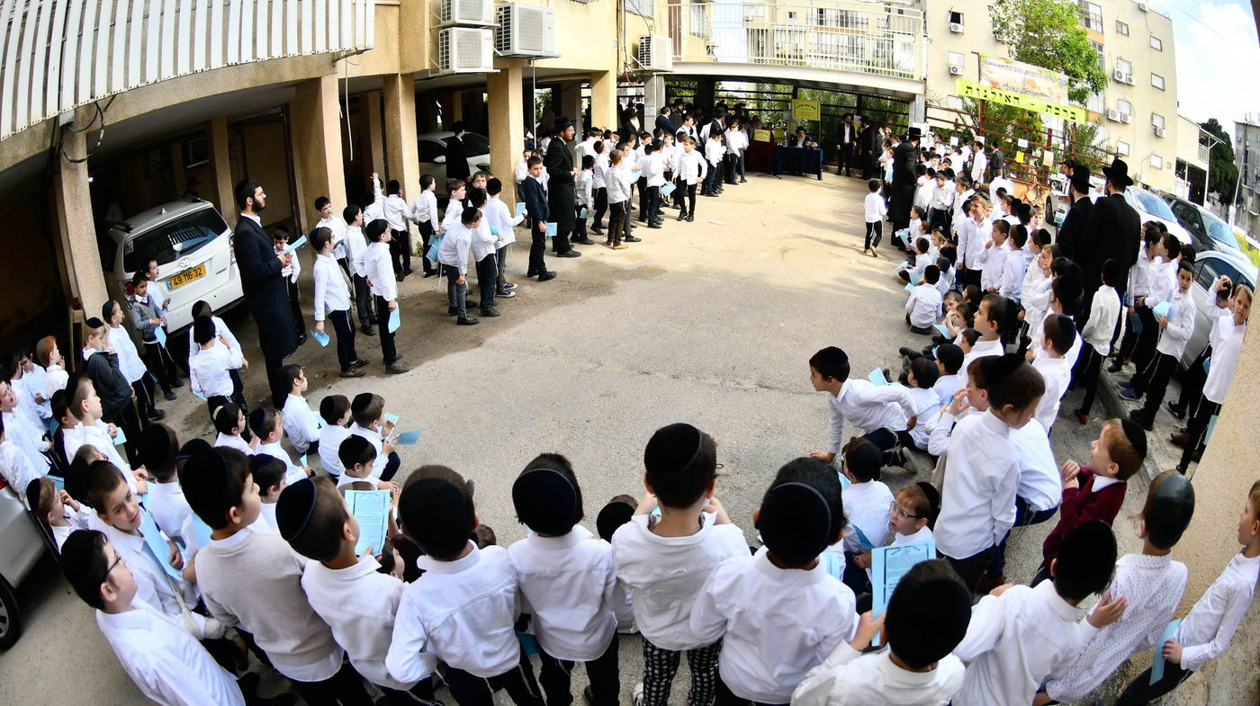 הגר"ש שטיינמן בברכת האילנות