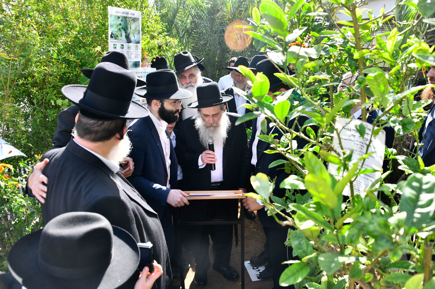 הגר"ש שטיינמן בברכת האילנות