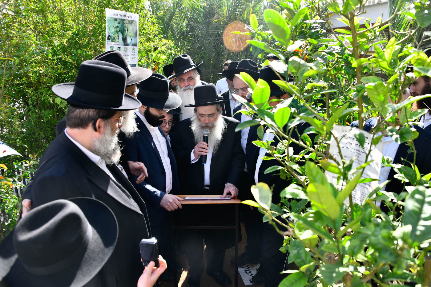 הגר"ש שטיינמן בברכת האילנות