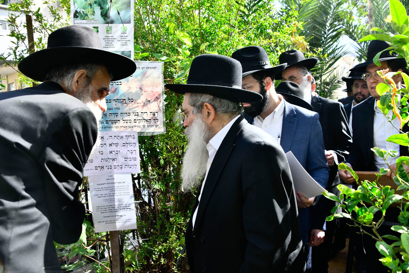הגר"ש שטיינמן בברכת האילנות
