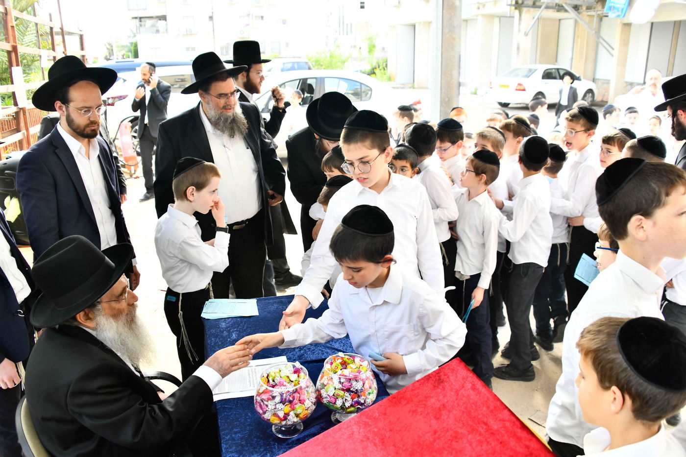 הגר"ש שטיינמן בברכת האילנות