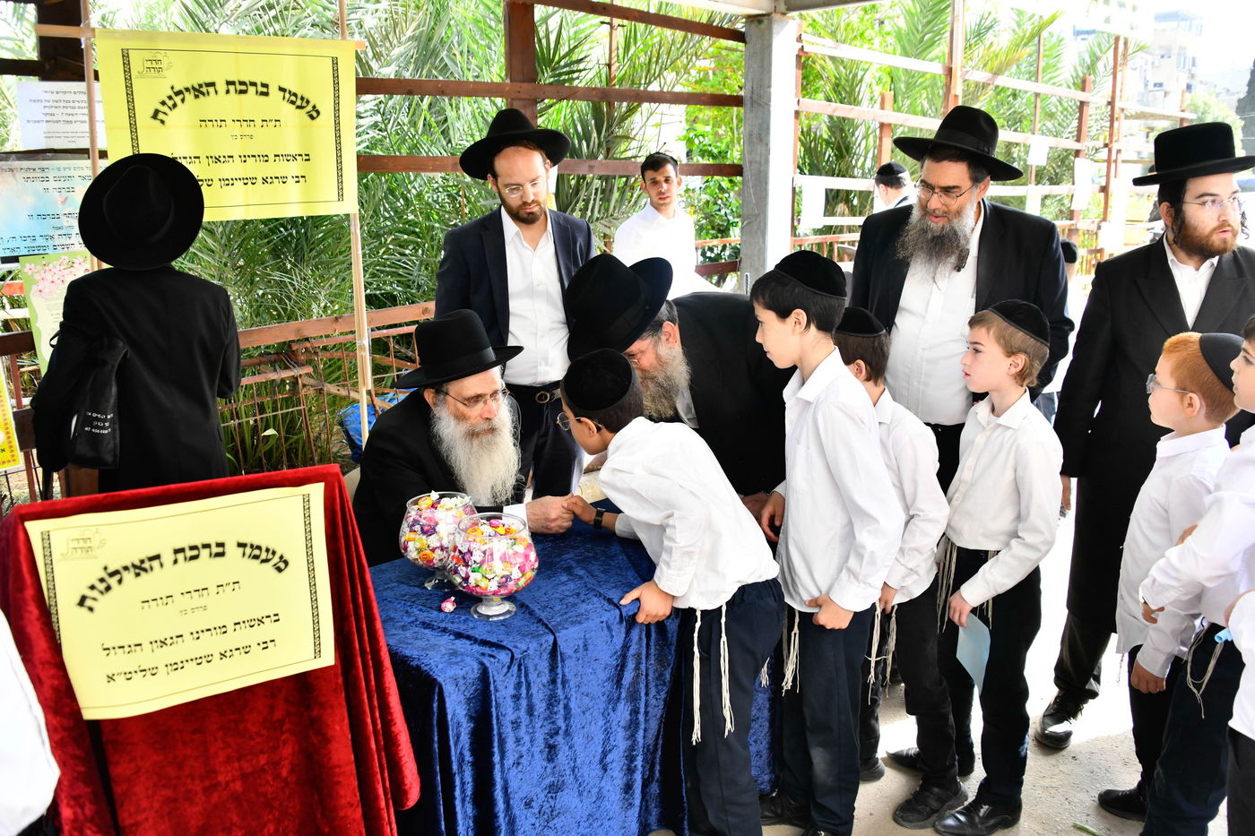 הגר"ש שטיינמן בברכת האילנות