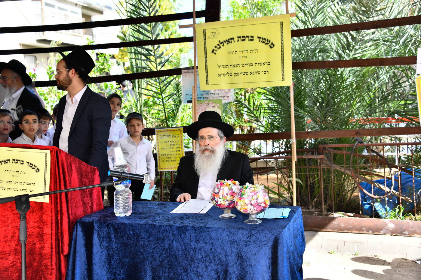 הגר"ש שטיינמן בברכת האילנות