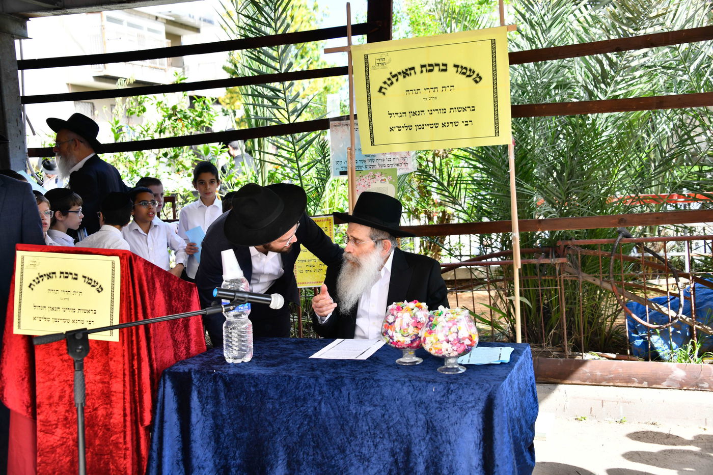 הגר"ש שטיינמן בברכת האילנות