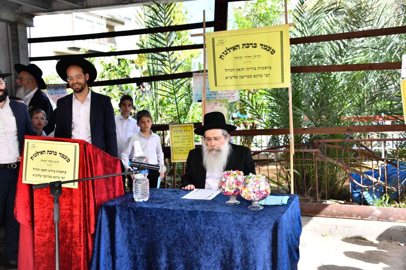 הגר"ש שטיינמן בברכת האילנות