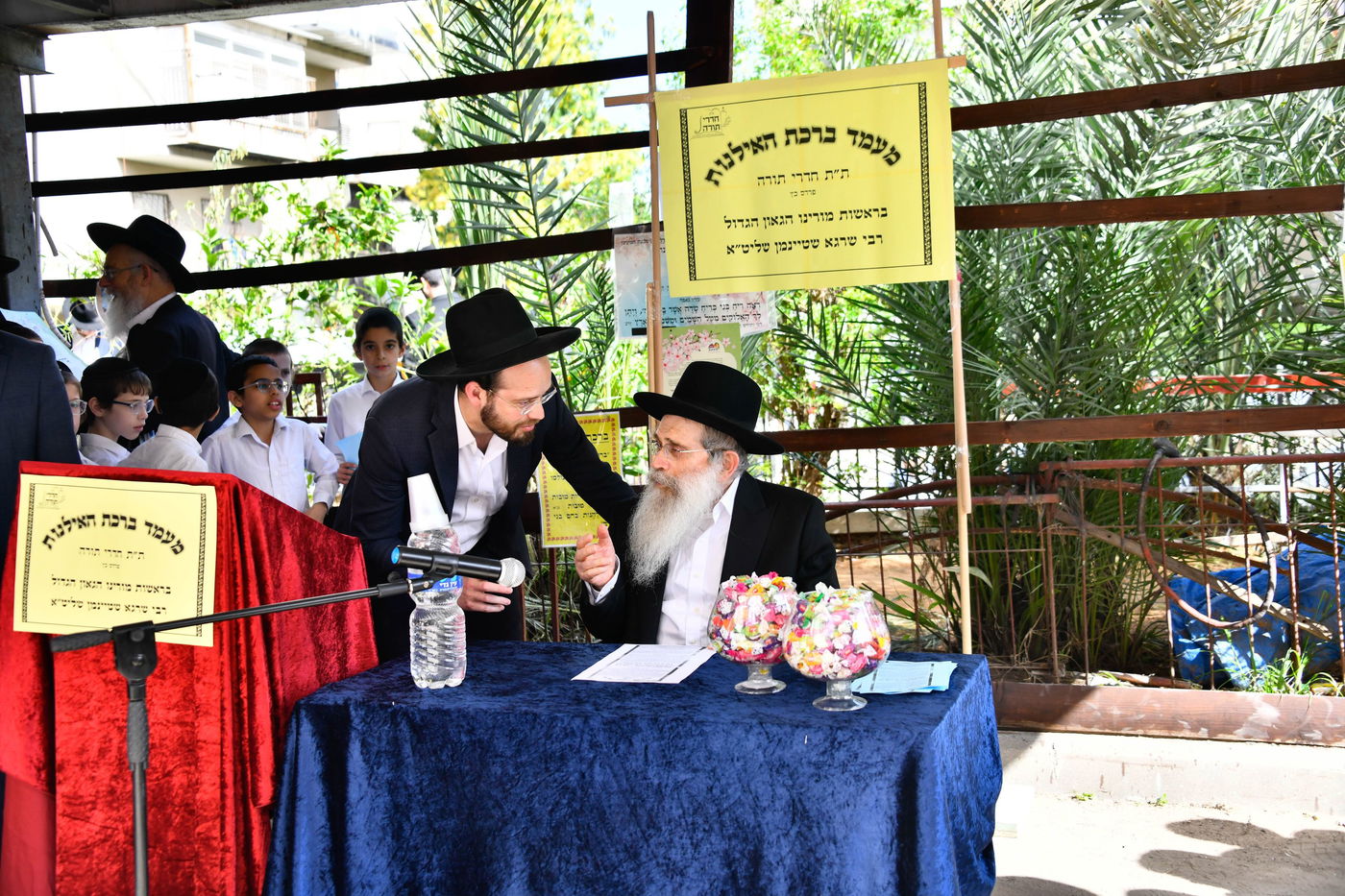 הגר"ש שטיינמן בברכת האילנות