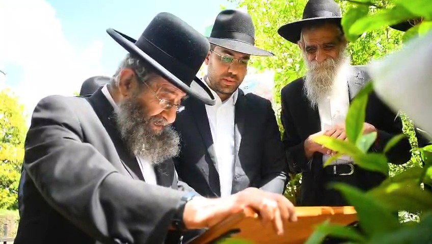 הגאון רבי מסעוד בן שמעון בברכת האילנות