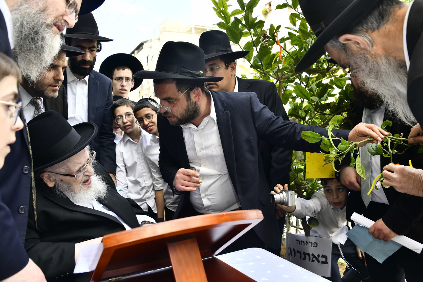 הגרמ"צ ברגמן בברכת האילנות