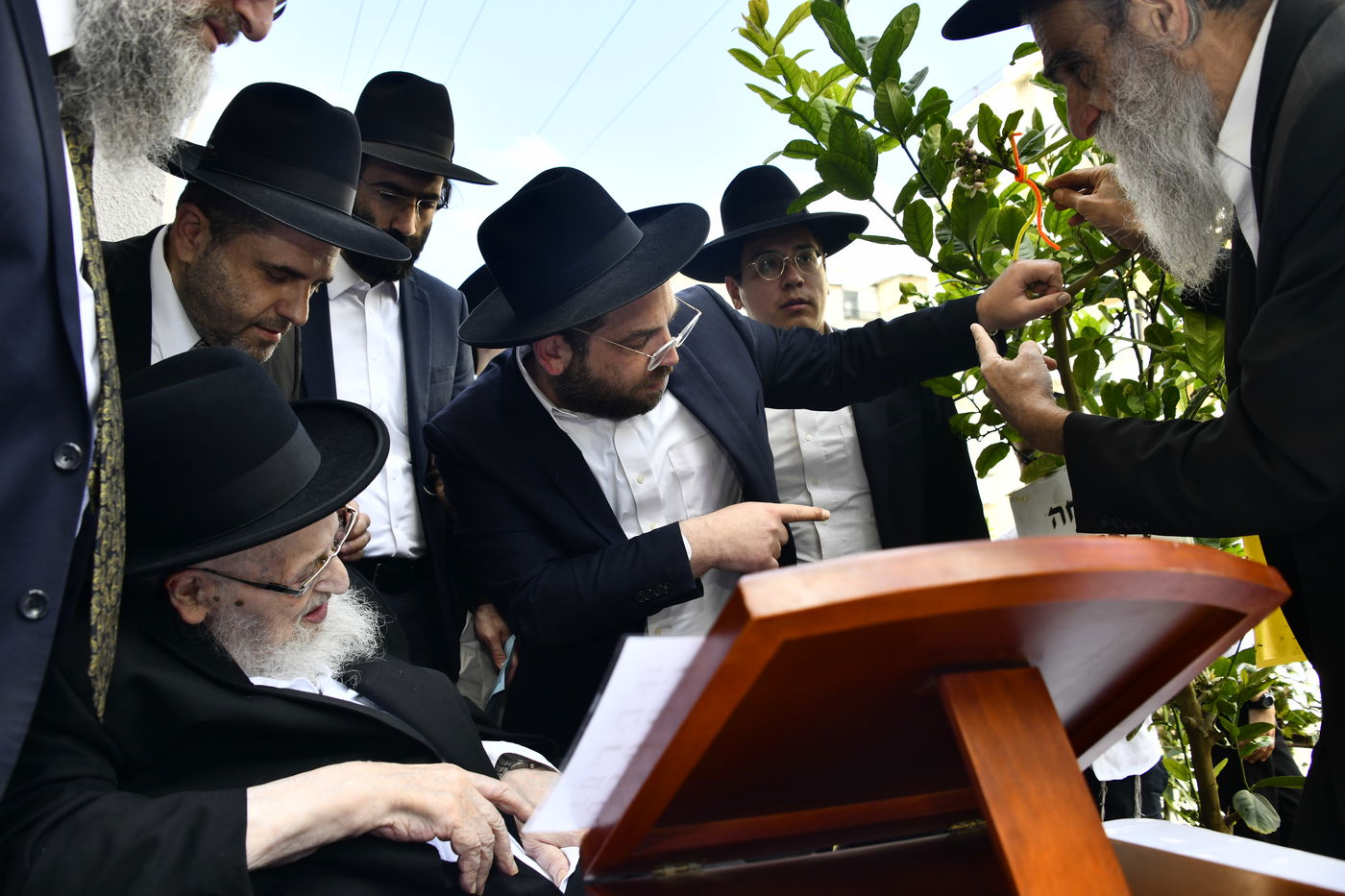 הגרמ"צ ברגמן בברכת האילנות