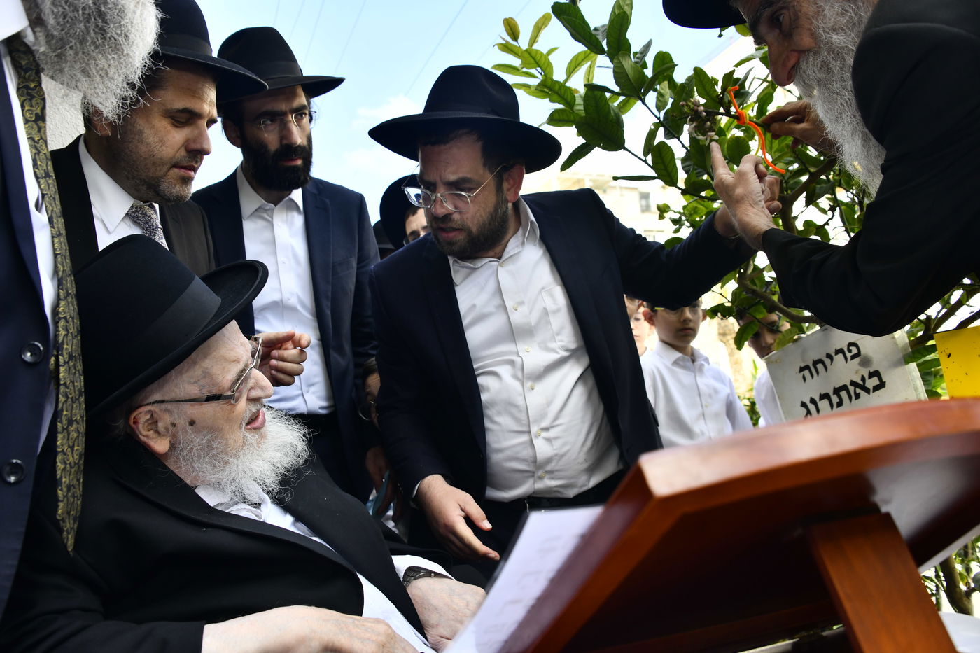 הגרמ"צ ברגמן בברכת האילנות