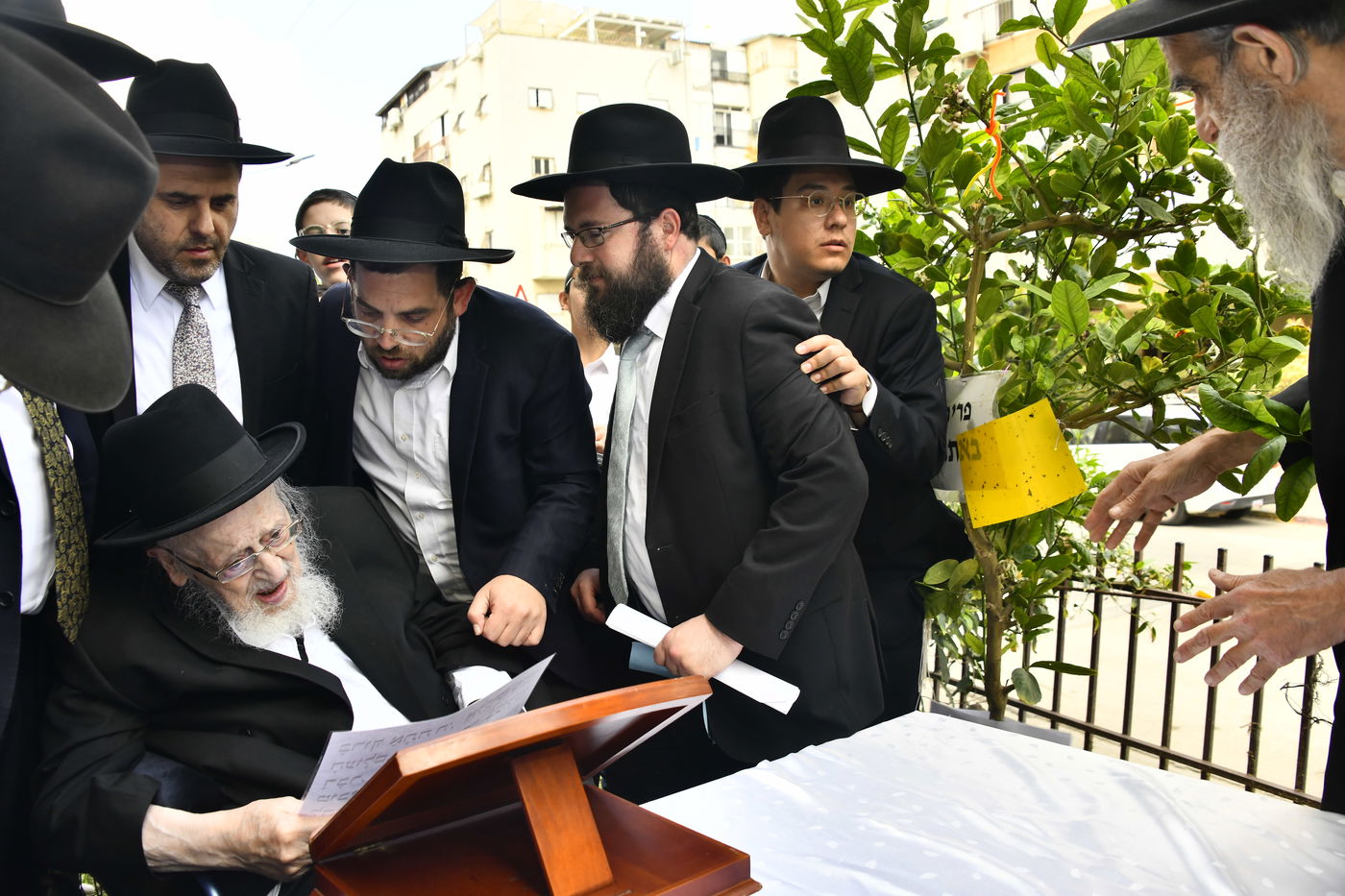 הגרמ"צ ברגמן בברכת האילנות