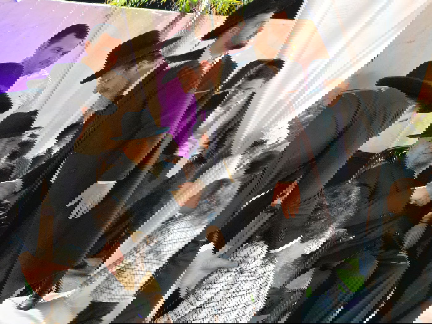 שמחת נישואי נכדת הגר"מ מאזוז