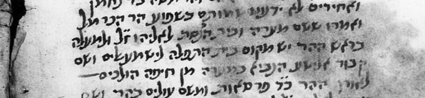 יחוס הצדיקים (נוסח שונה, מהגניזה הקהירית), כת"י הספרייה הלאומית של רוסיה (סנט פטרסבורג), Ms. EVR II A 427, אוסף פירקוביץ השני