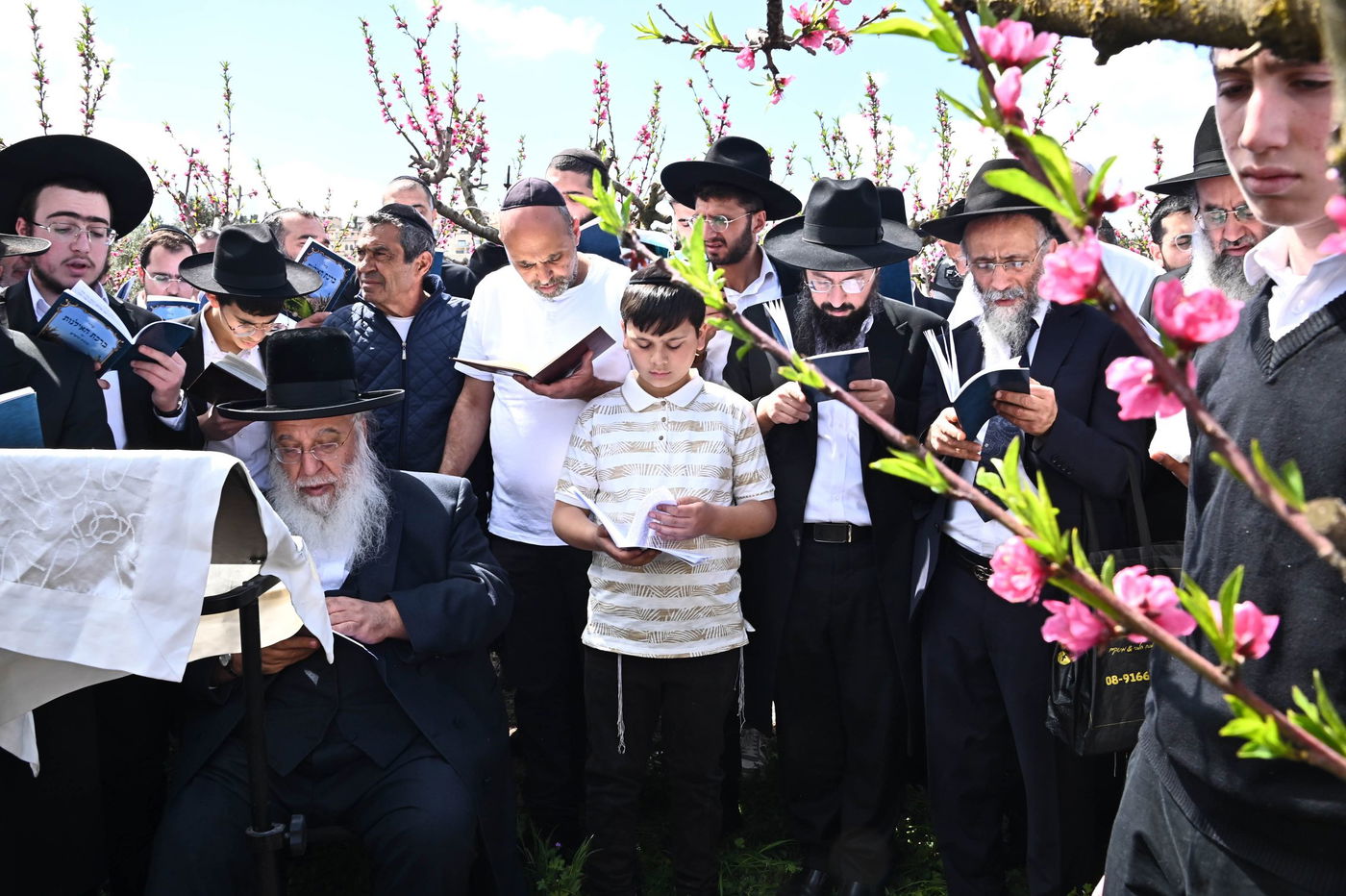 המקובל רבי בניהו שמואלי בברכת האילנות