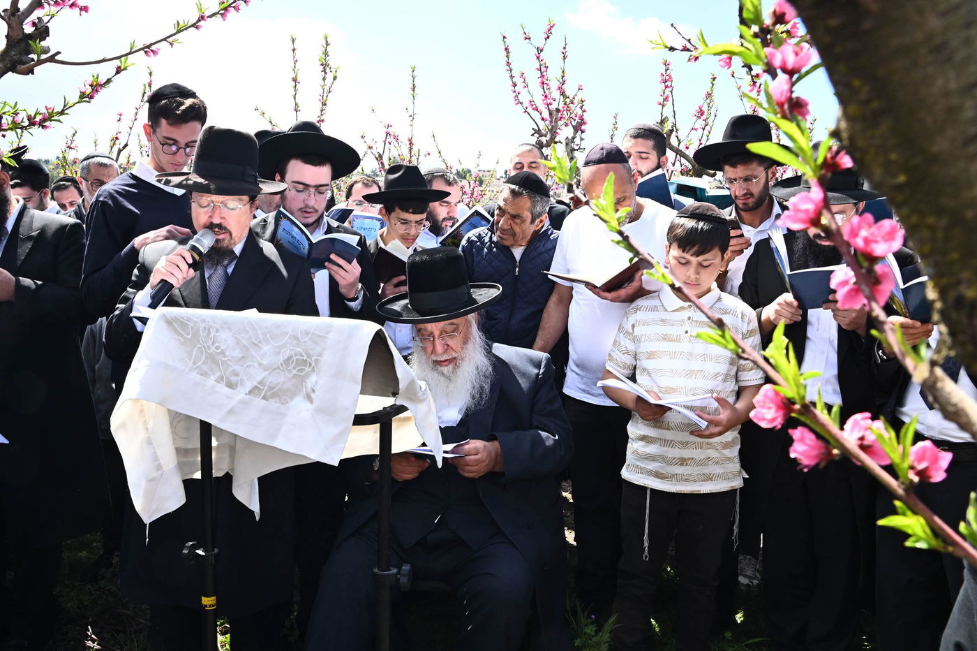 המקובל רבי בניהו שמואלי בברכת האילנות