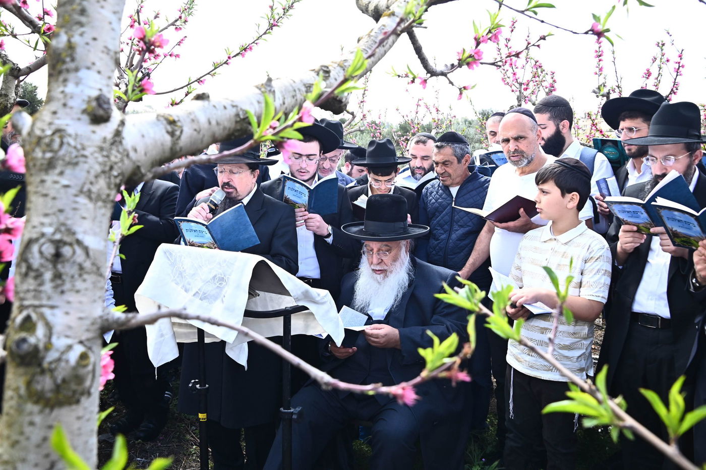 המקובל רבי בניהו שמואלי בברכת האילנות