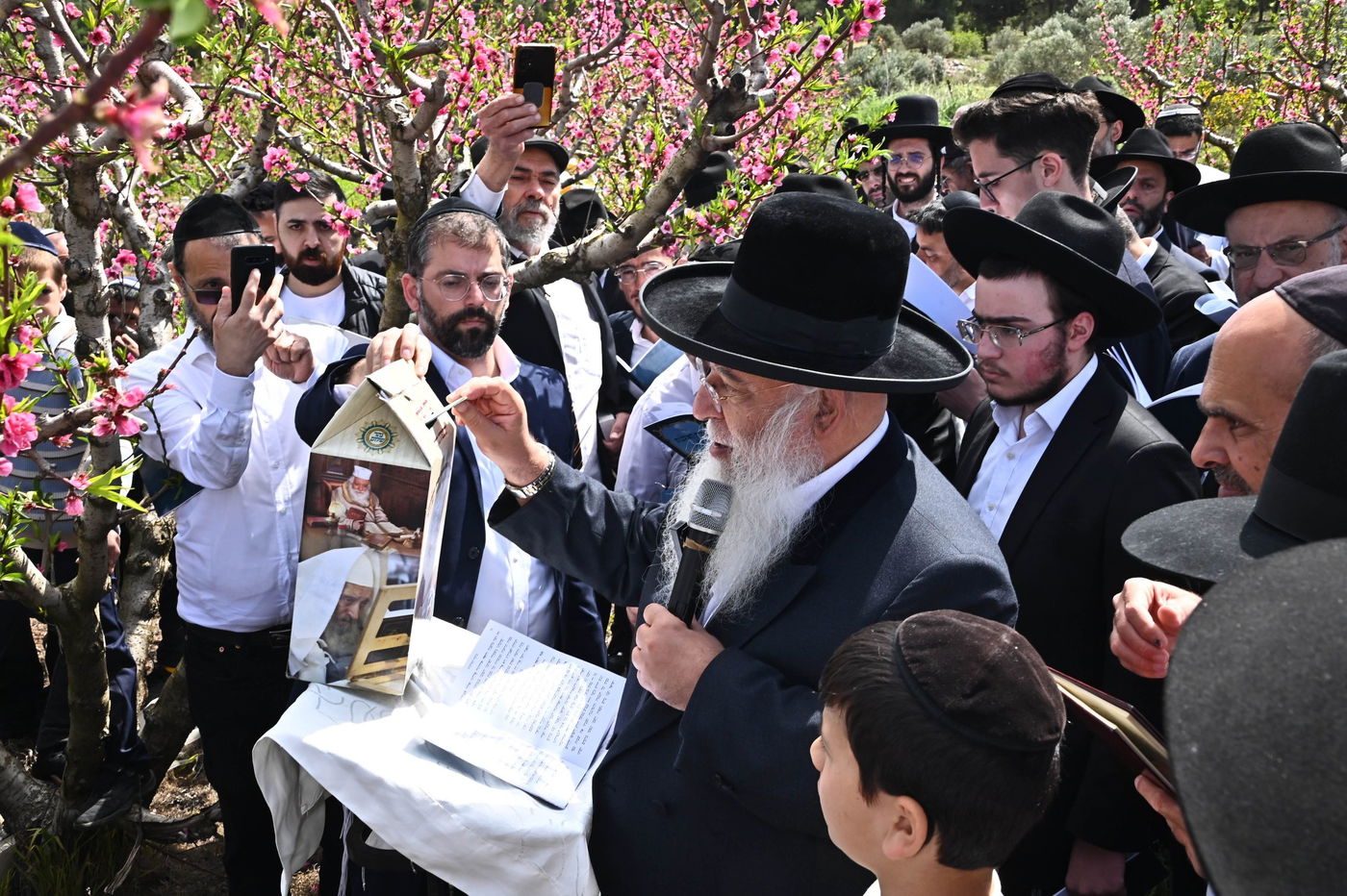 המקובל רבי בניהו שמואלי בברכת האילנות
