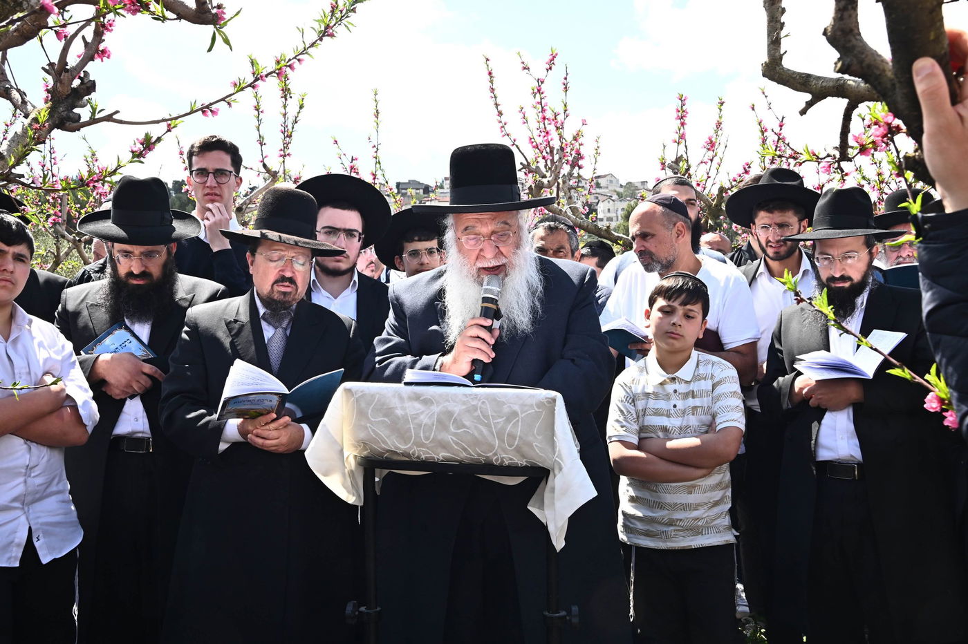 המקובל רבי בניהו שמואלי בברכת האילנות