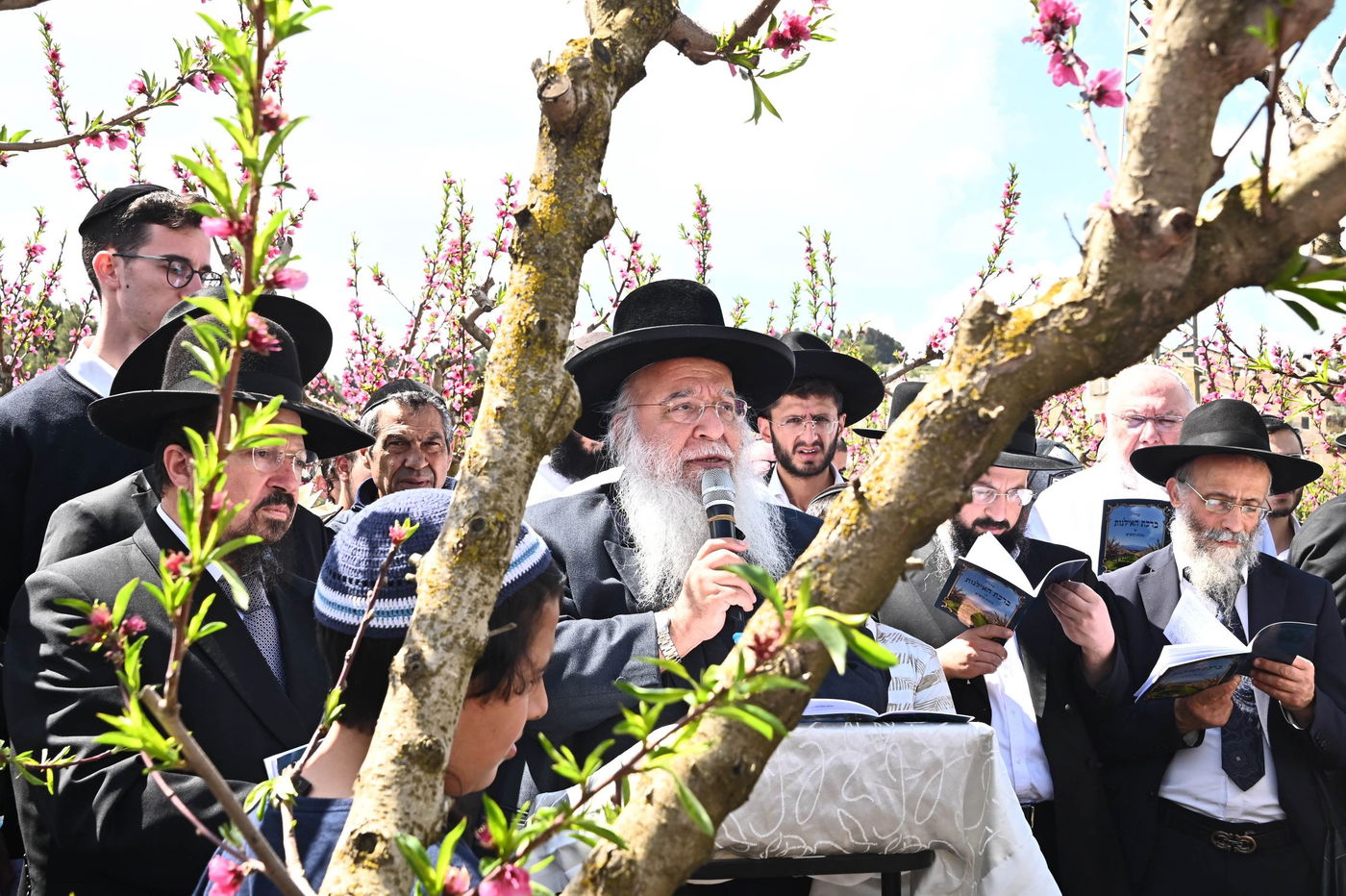 המקובל רבי בניהו שמואלי בברכת האילנות