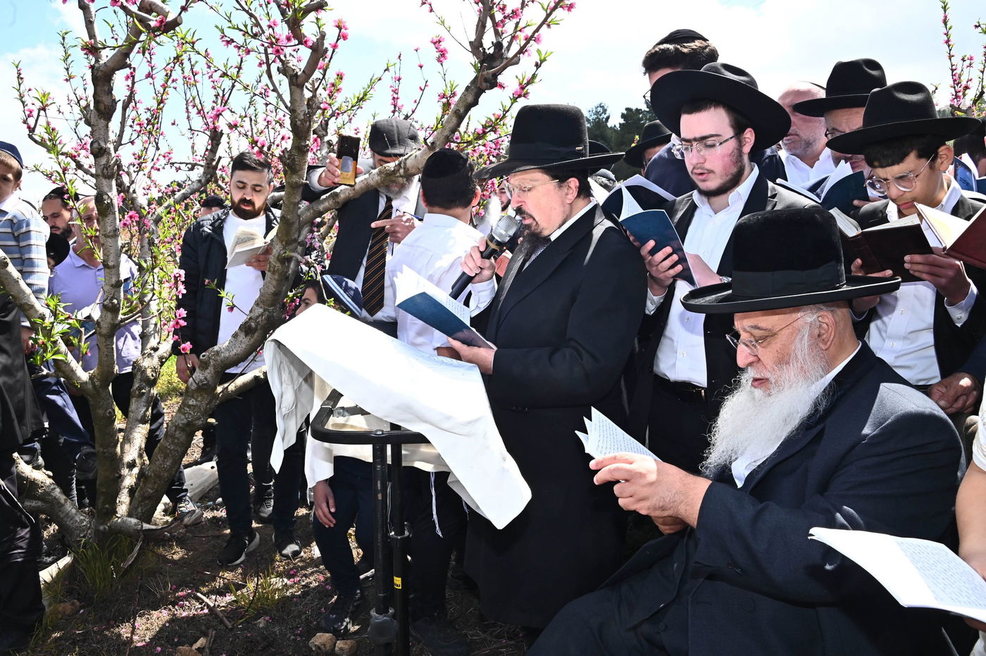 המקובל רבי בניהו שמואלי בברכת האילנות