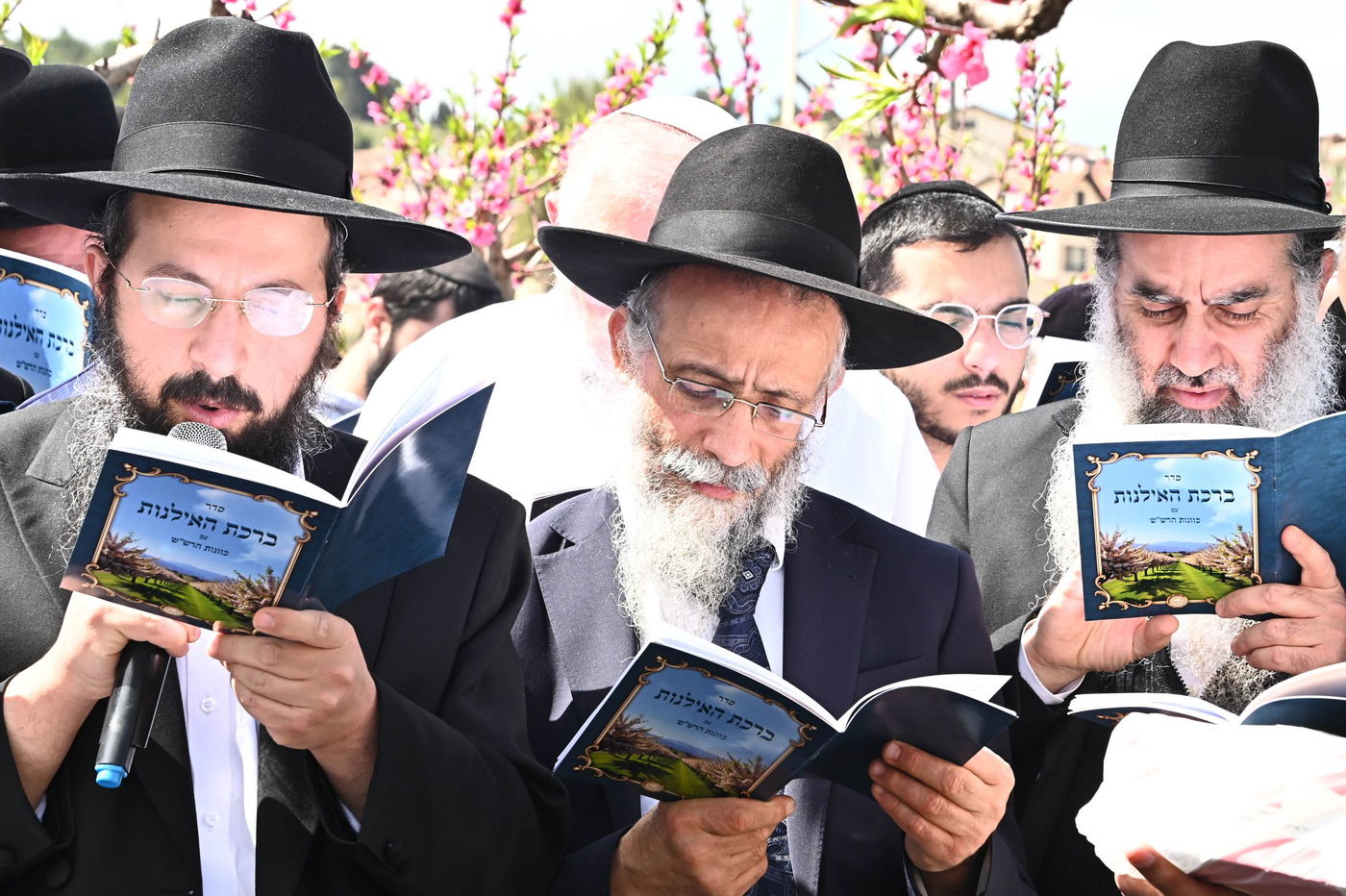 המקובל רבי בניהו שמואלי בברכת האילנות