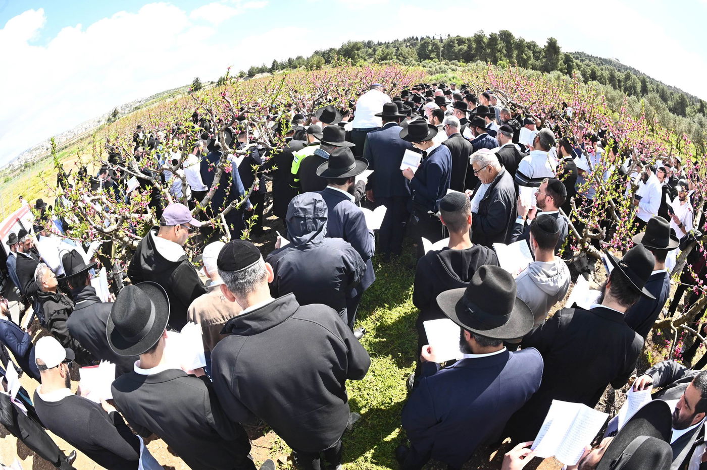 המקובל רבי בניהו שמואלי בברכת האילנות