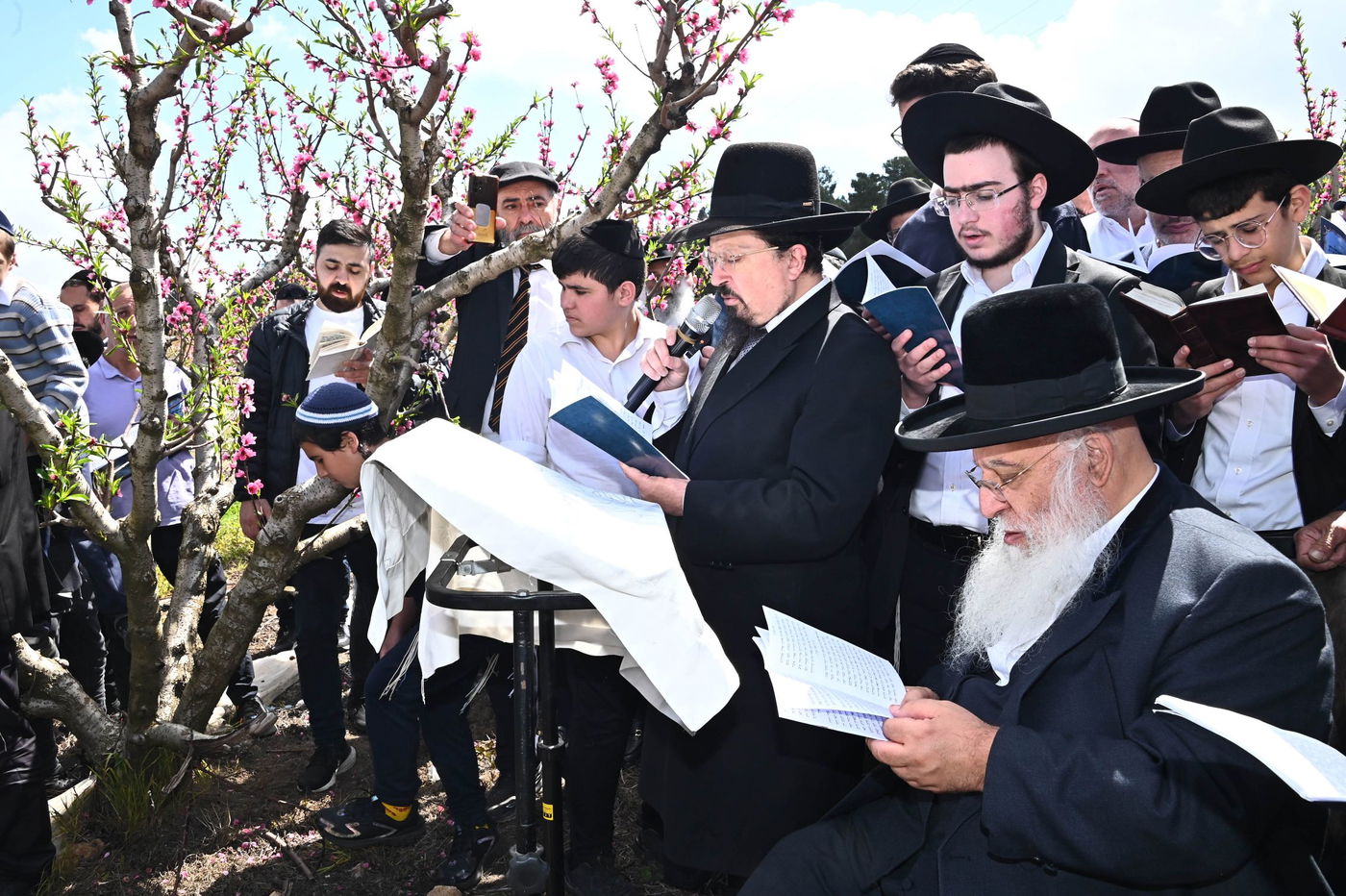 המקובל רבי בניהו שמואלי בברכת האילנות