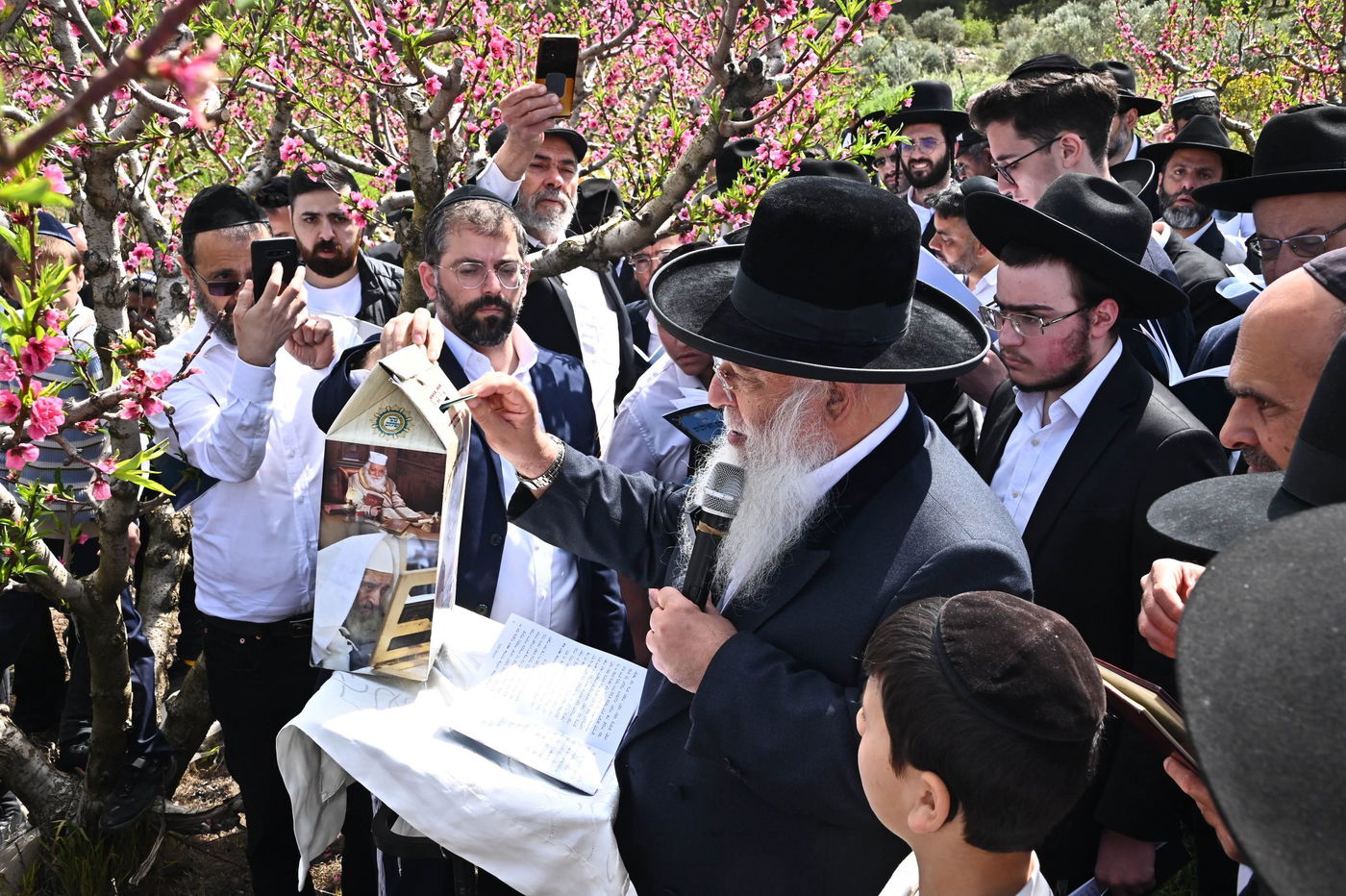 המקובל רבי בניהו שמואלי בברכת האילנות