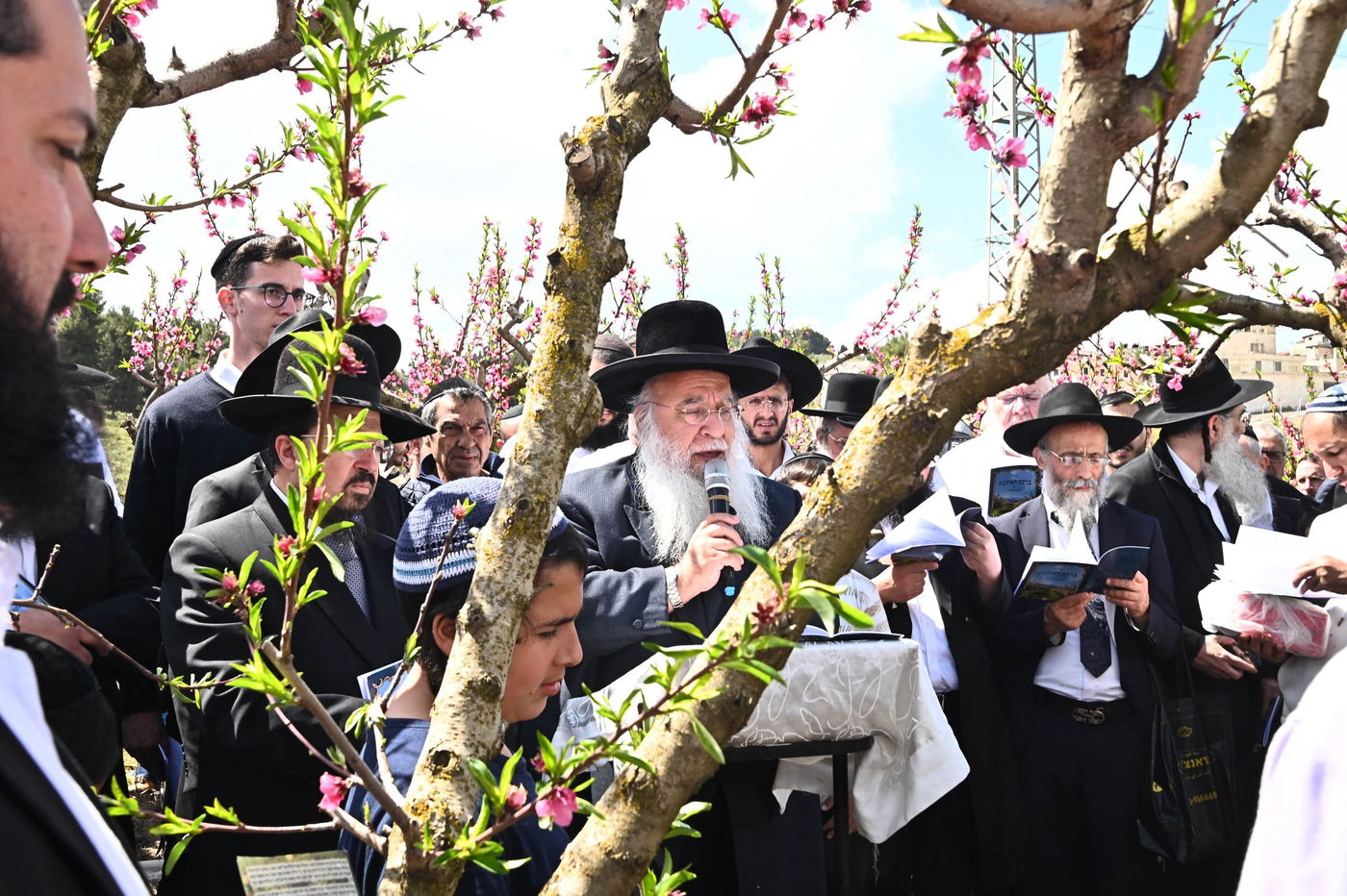 המקובל רבי בניהו שמואלי בברכת האילנות