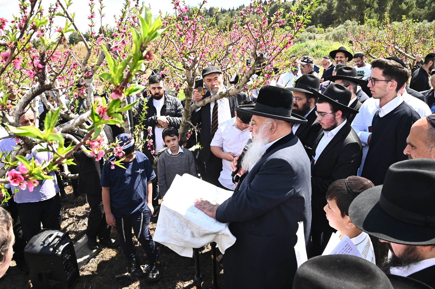 המקובל רבי בניהו שמואלי בברכת האילנות