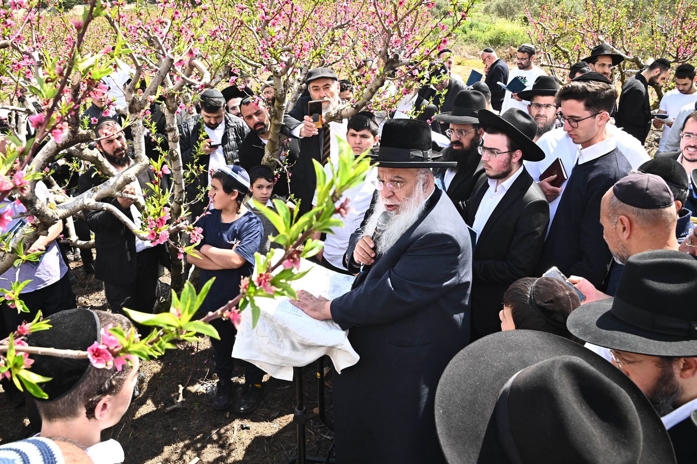 המקובל רבי בניהו שמואלי בברכת האילנות