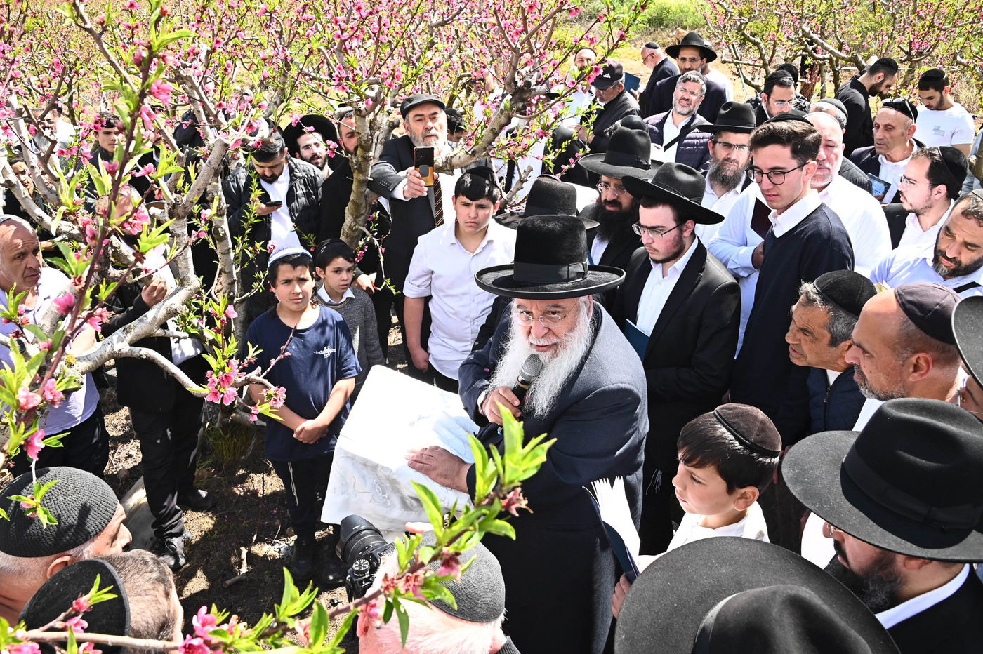 המקובל רבי בניהו שמואלי בברכת האילנות