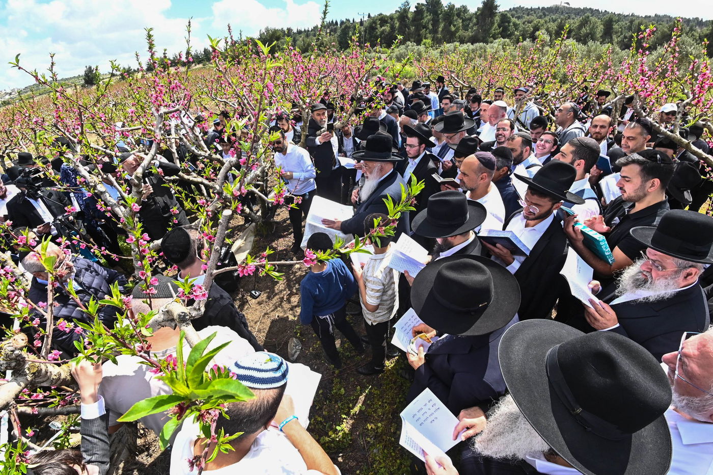 המקובל רבי בניהו שמואלי בברכת האילנות