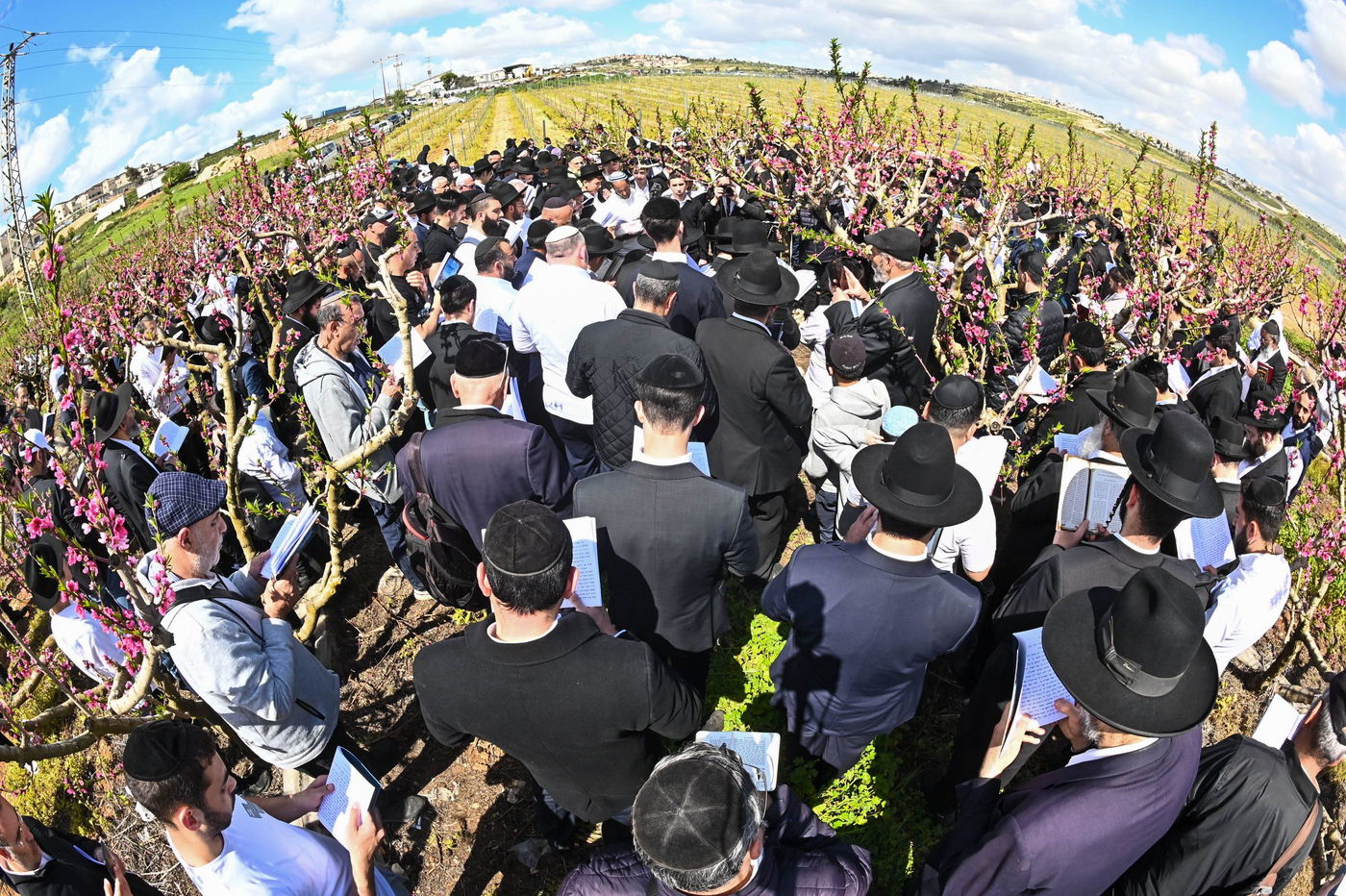 המקובל רבי בניהו שמואלי בברכת האילנות