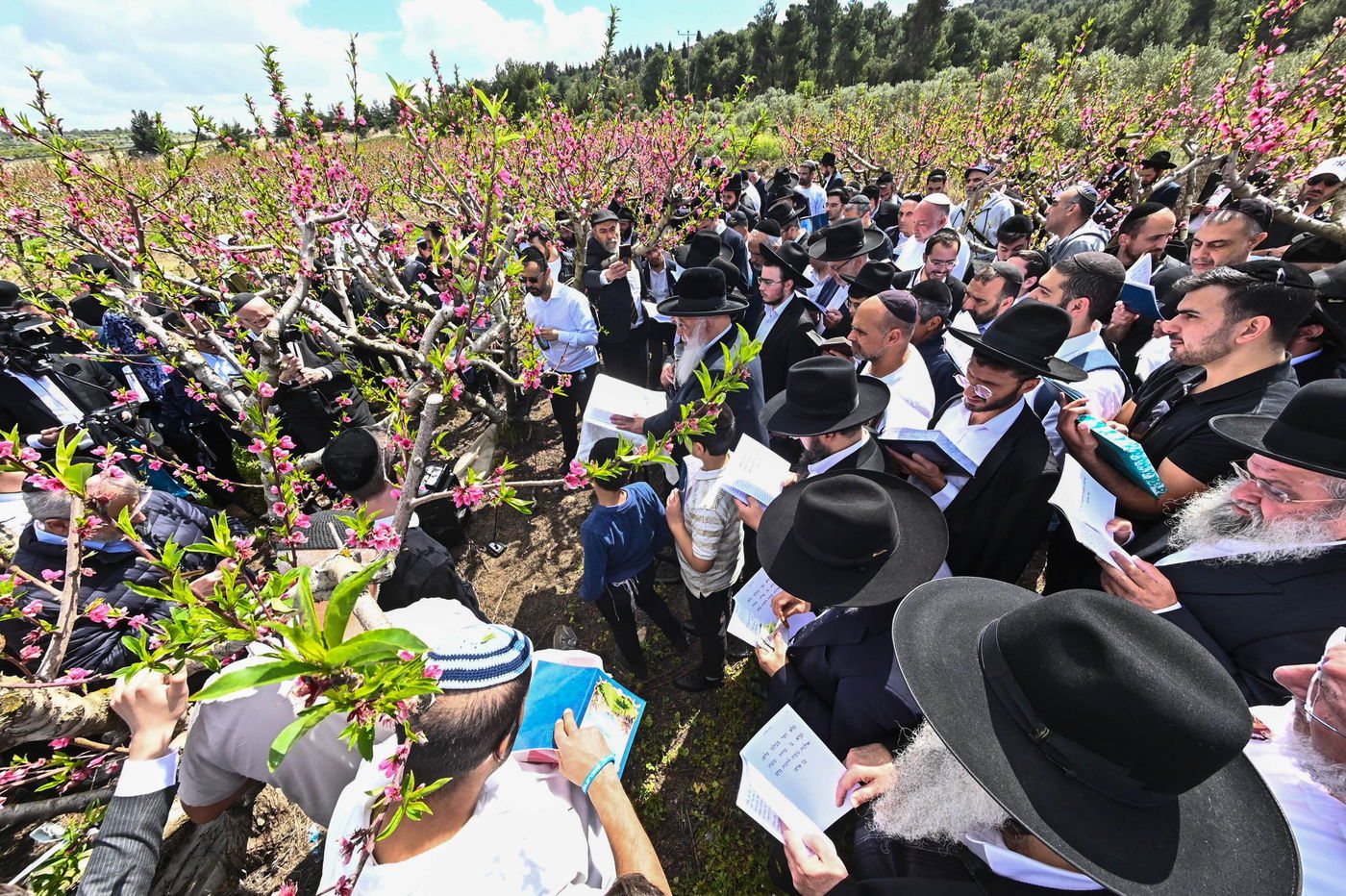 המקובל רבי בניהו שמואלי בברכת האילנות