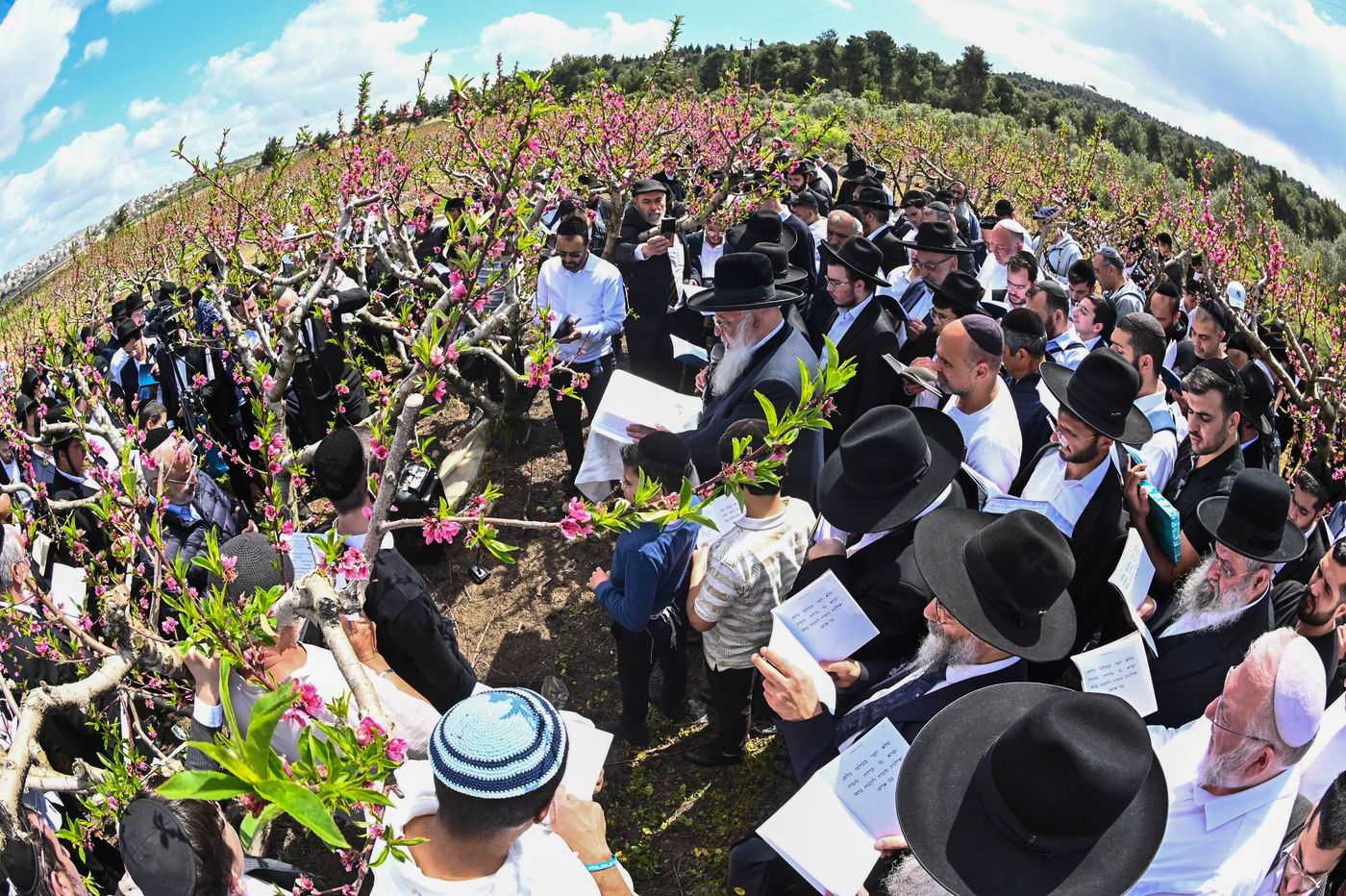 המקובל רבי בניהו שמואלי בברכת האילנות