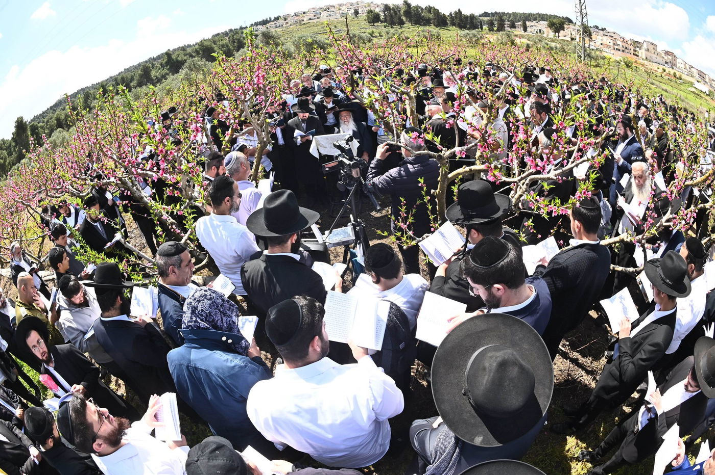 המקובל רבי בניהו שמואלי בברכת האילנות