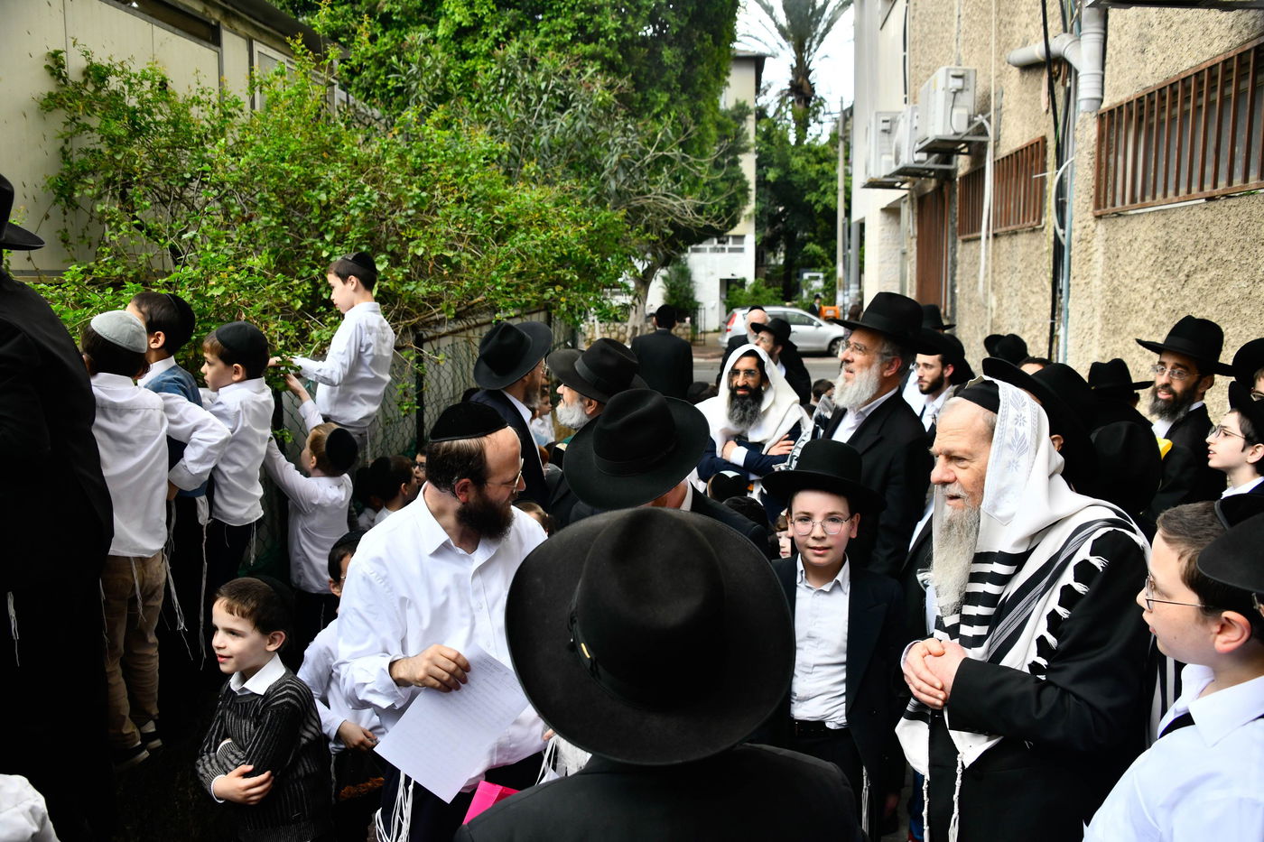 הגרמ"ש אדלשטיין בברכת האילנות 