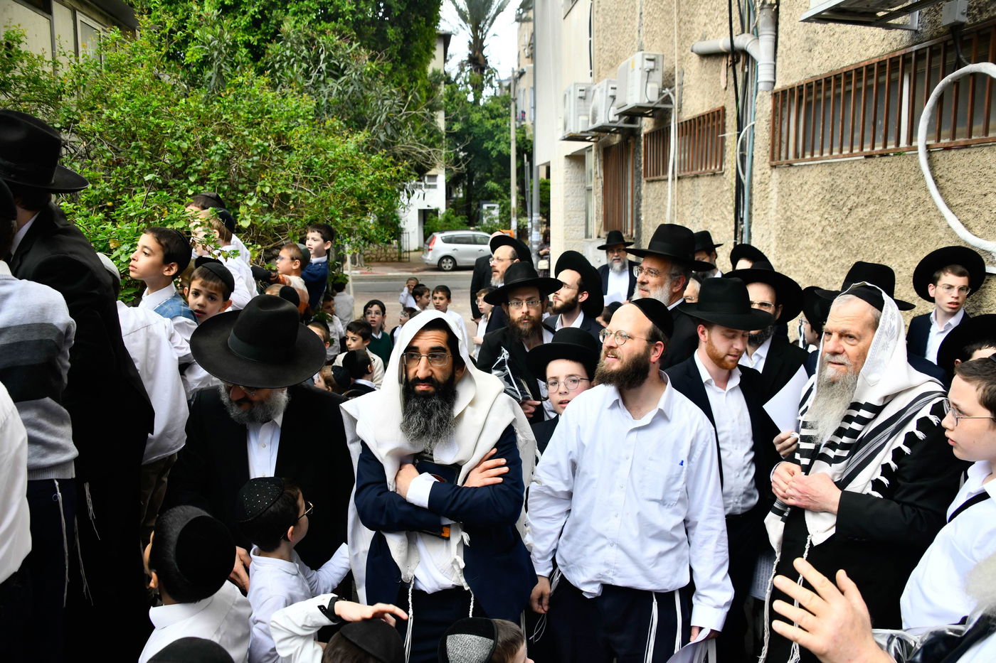 הגרמ"ש אדלשטיין בברכת האילנות 