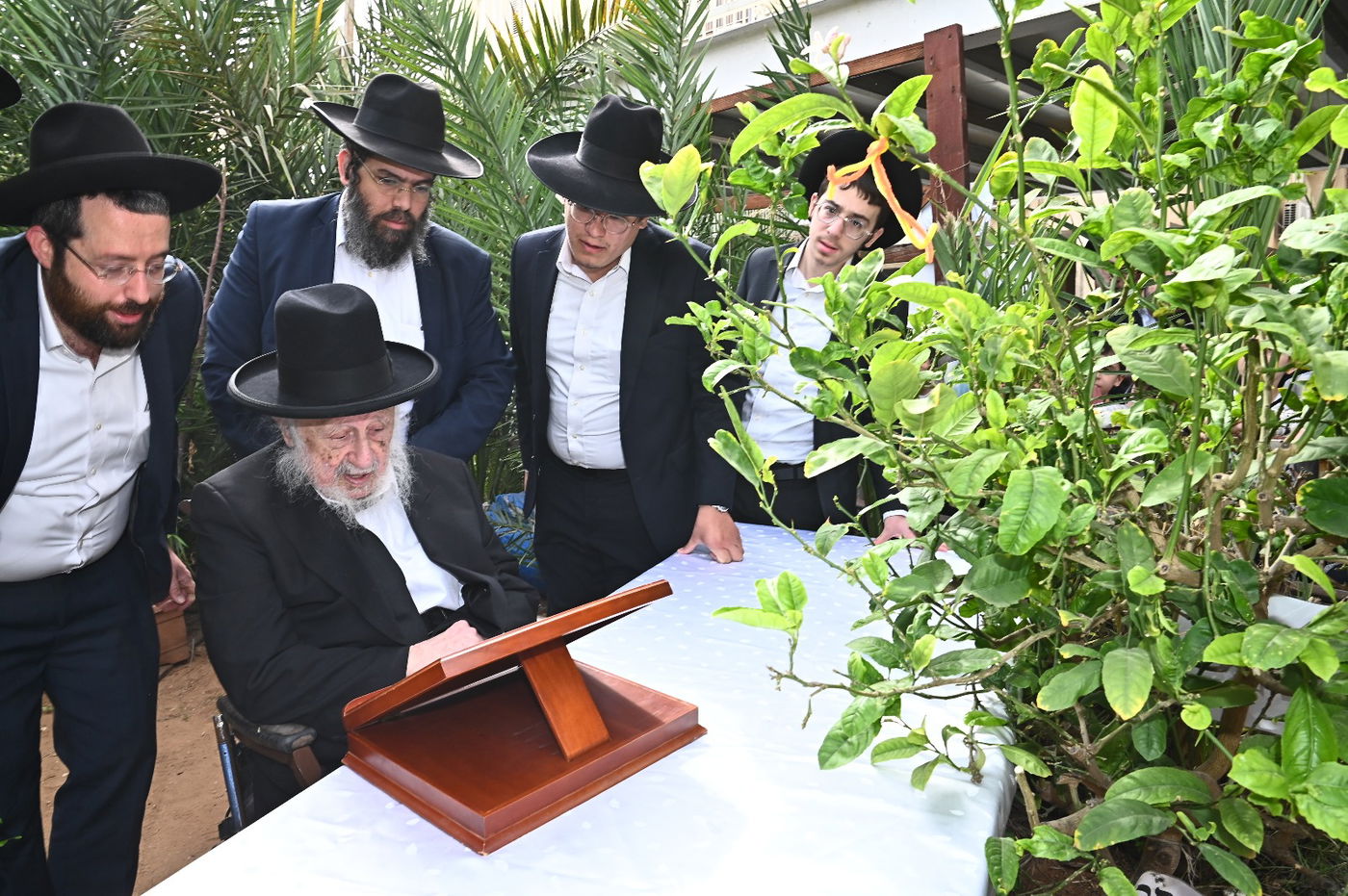 הגרב"ד פוברסקי בברכת האילנות