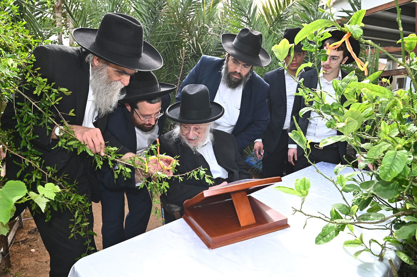 הגרב"ד פוברסקי בברכת האילנות