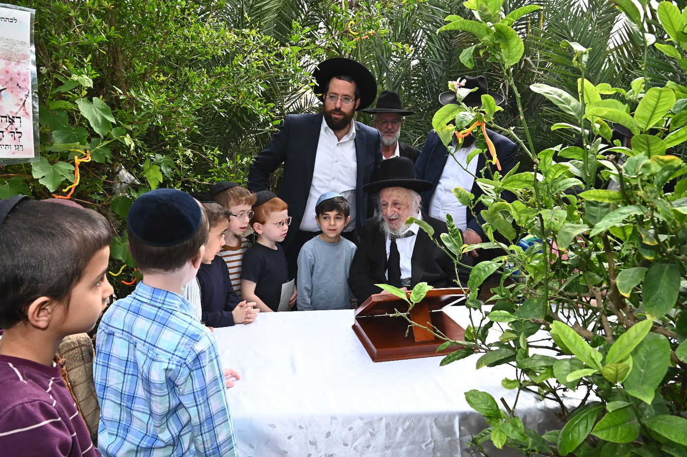 הגרב"ד פוברסקי בברכת האילנות