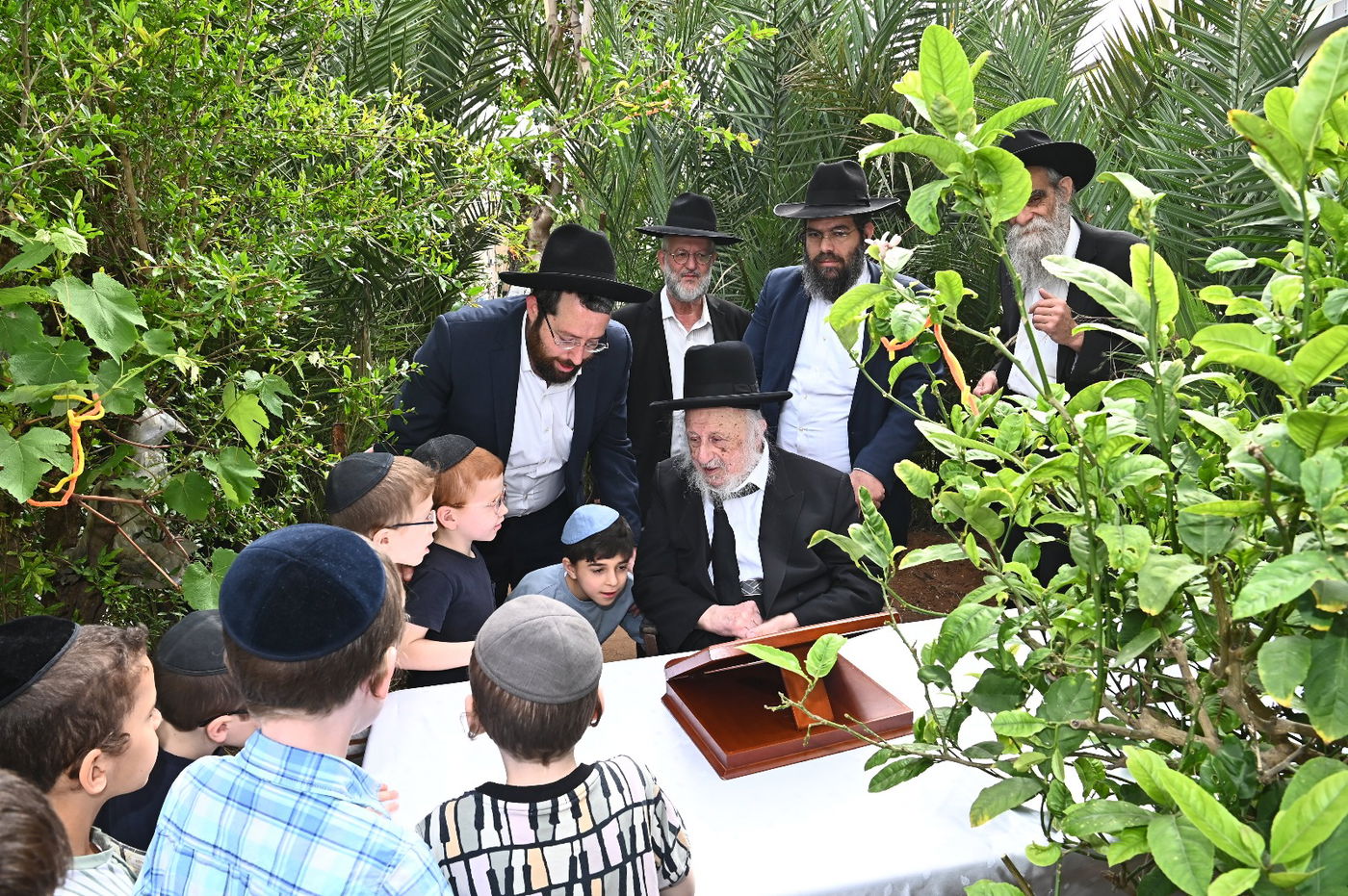 הגרב"ד פוברסקי בברכת האילנות