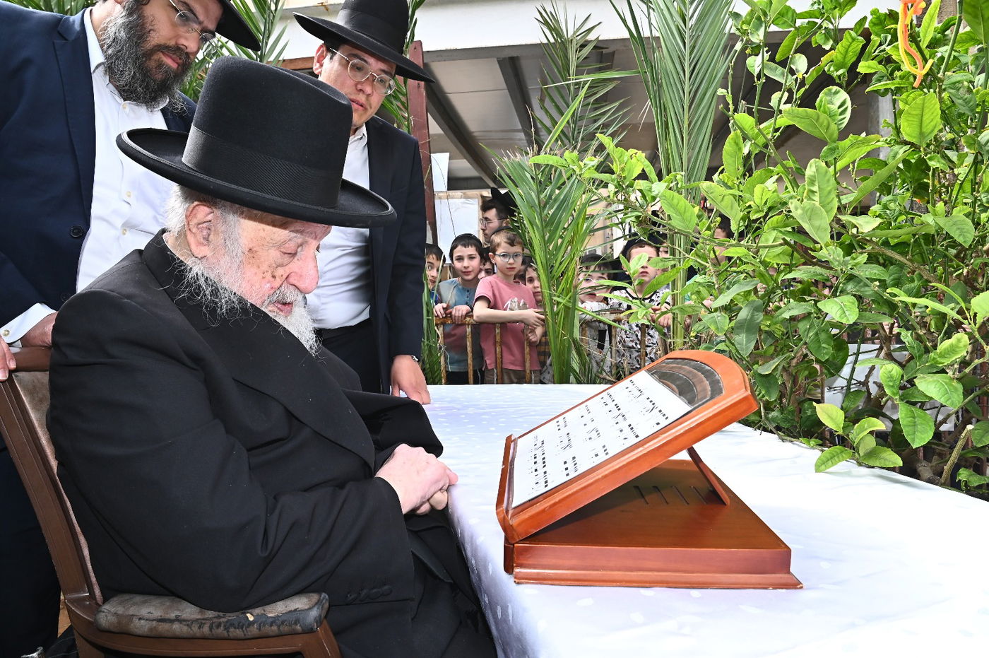 הגרב"ד פוברסקי בברכת האילנות