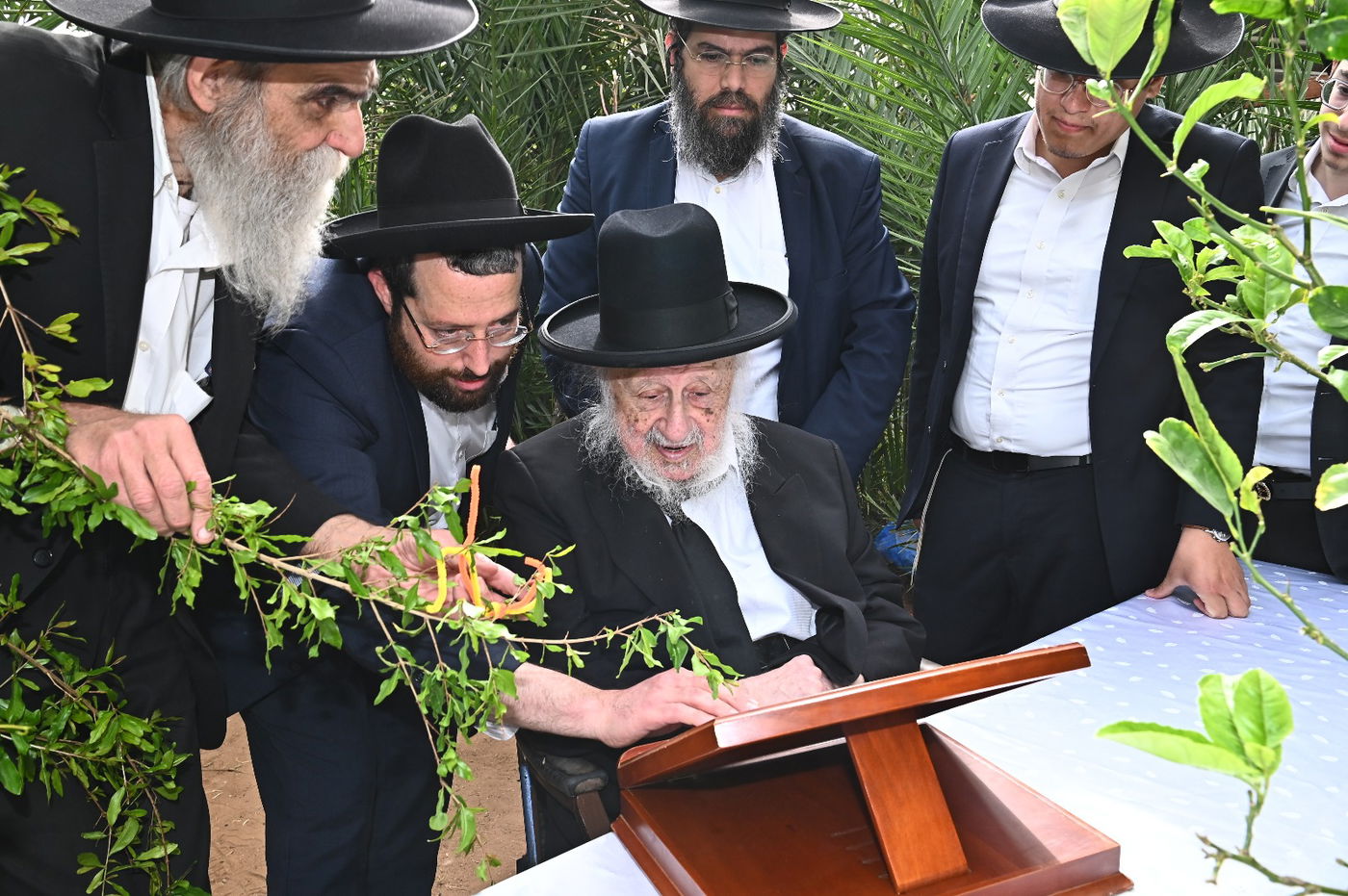 הגרב"ד פוברסקי בברכת האילנות