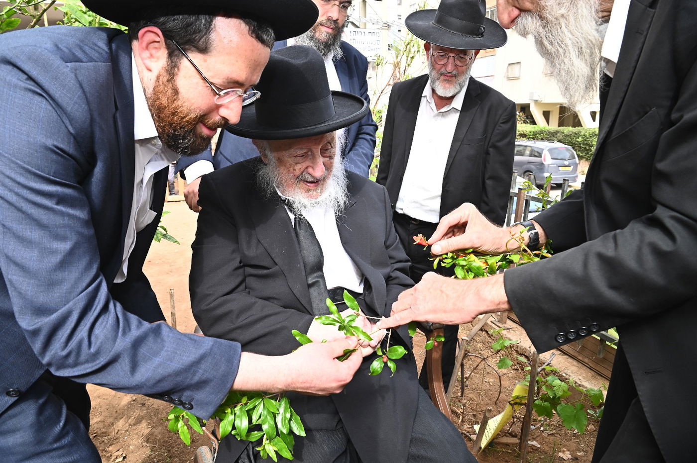 הגרב"ד פוברסקי בברכת האילנות